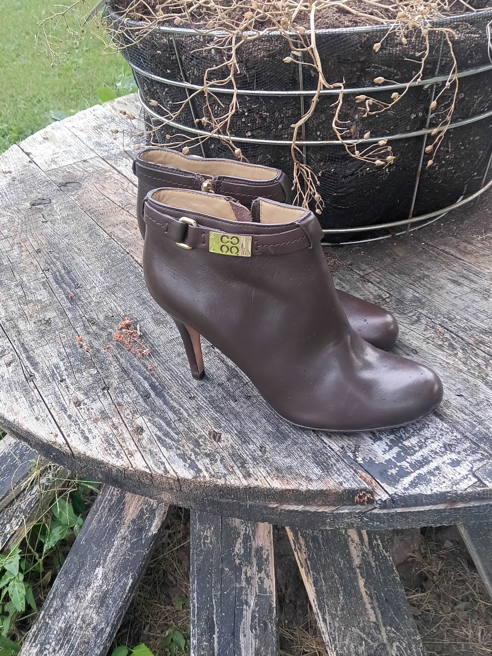 COACH Brown Leather Ankle Booties - Women's Heeled Boots